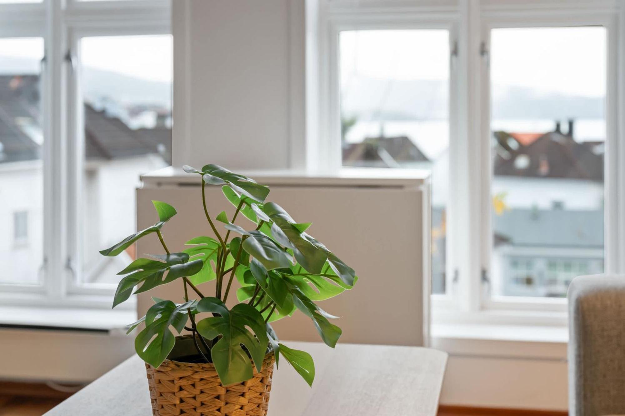 Appartement New Sandviken With Stunning View *
